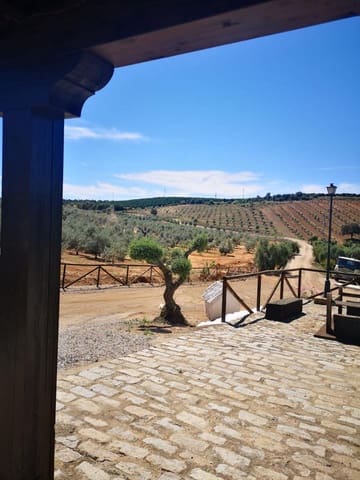 Terreno Não Urbanizado para venda em Villanueva del Río y Minas - 620 000 € (Ref: 6143481)