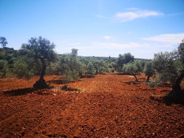 Terreno Não Urbanizado para venda em Villanueva del Río y Minas - 620 000 € (Ref: 6143481)