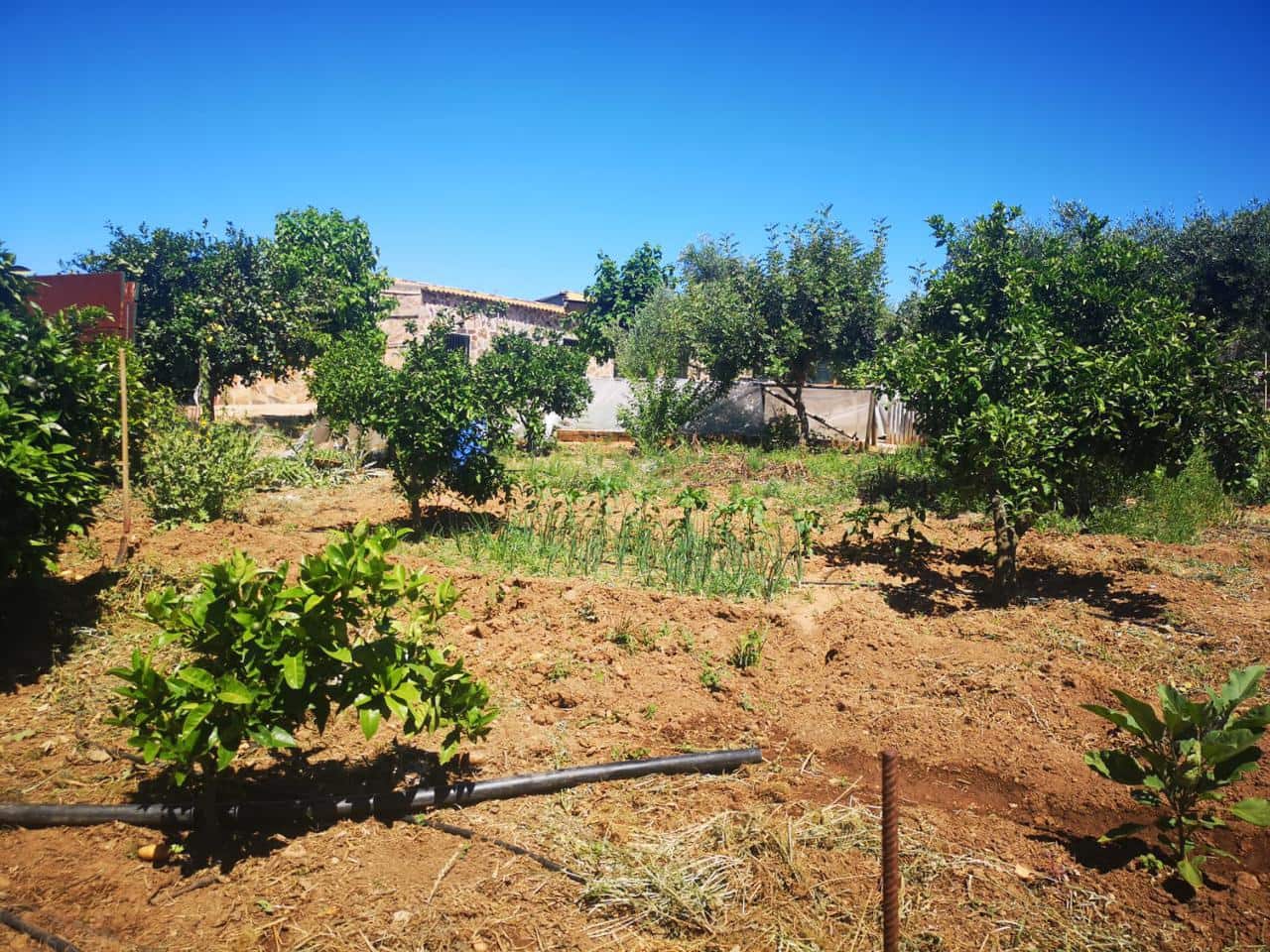 Terreno Não Urbanizado para venda em Villanueva del Rio y Minas - 620 000 € (Ref: 6143481)