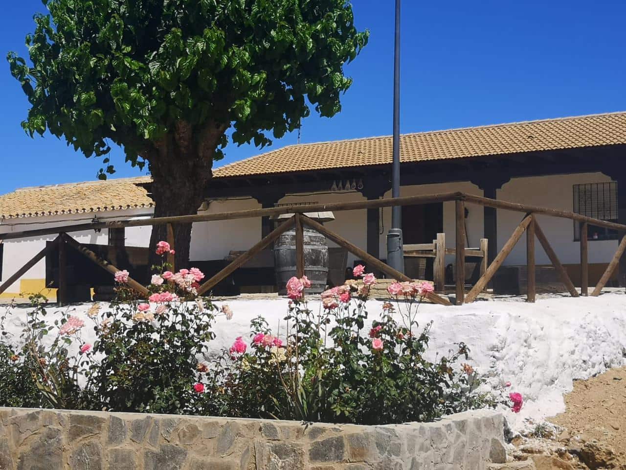 Terreno Não Urbanizado para venda em Villanueva del Rio y Minas - 620 000 € (Ref: 6143481)