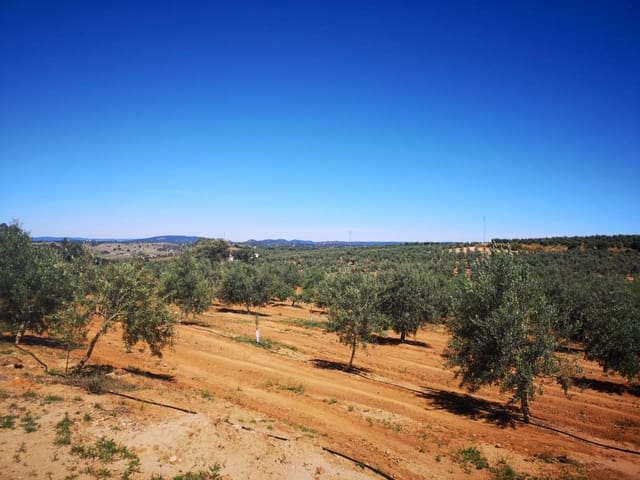 Terreno Não Urbanizado para venda em Villanueva del Río y Minas - 620 000 € (Ref: 6143481)