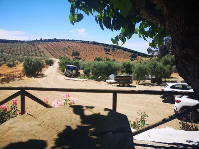 Terreno Não Urbanizado para venda em Villanueva del Río y Minas - 620 000 € (Ref: 6143481)