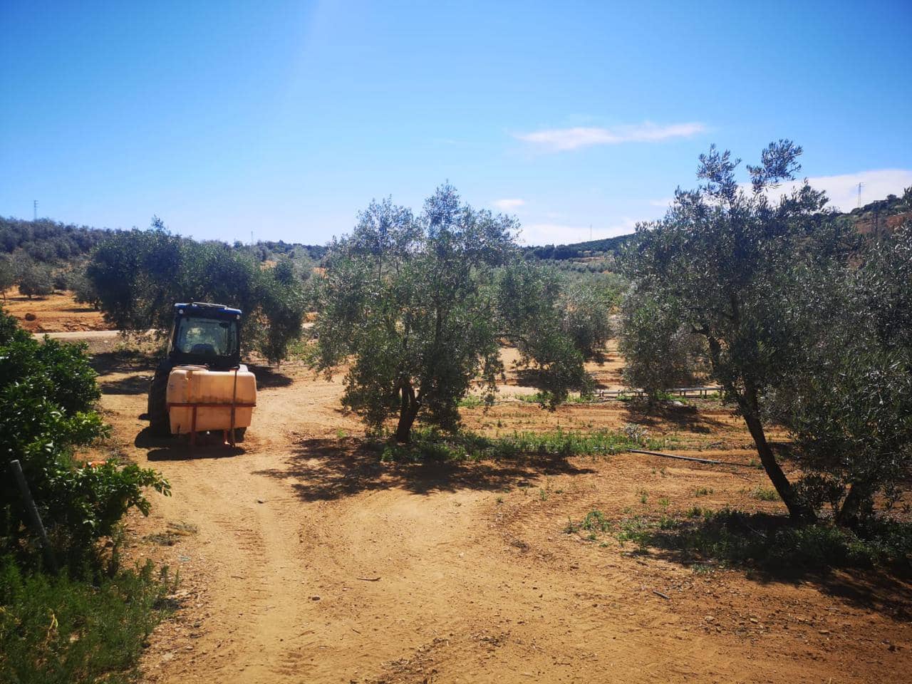 Terreno Não Urbanizado para venda em Villanueva del Rio y Minas - 620 000 € (Ref: 6143481)