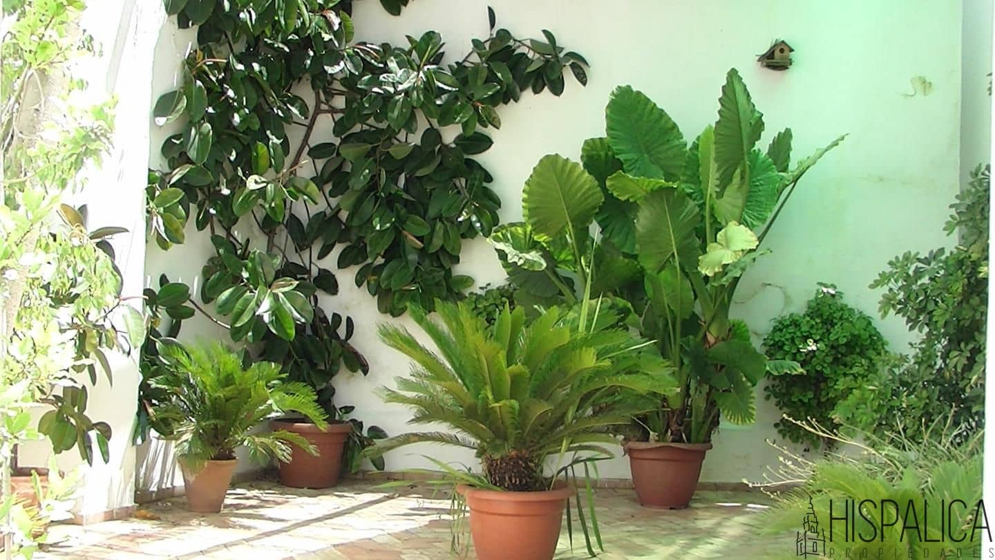 5 soveværelse Villa til salg i Carmona med garage - € 520.000 (Ref: 6676914)