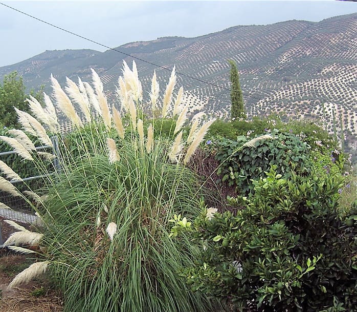 6 soverom Villa til salgs i Los Juncares med svømmebasseng - € 545 000 (Ref: 6730428)