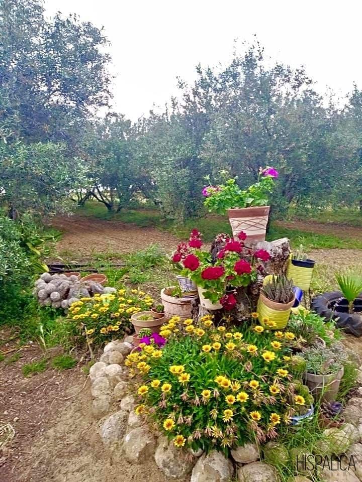 3 soveværelse Villa til salg i Cantillana med swimmingpool - € 240.000 (Ref: 7030468)