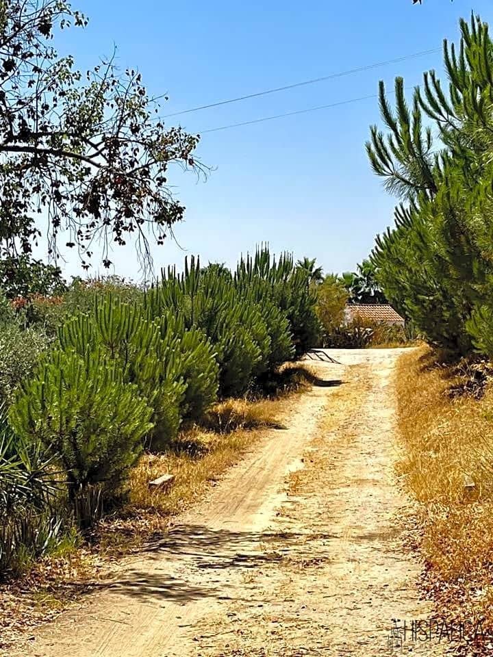 3 soveværelse Villa til salg i Cantillana med swimmingpool - € 240.000 (Ref: 7030468)