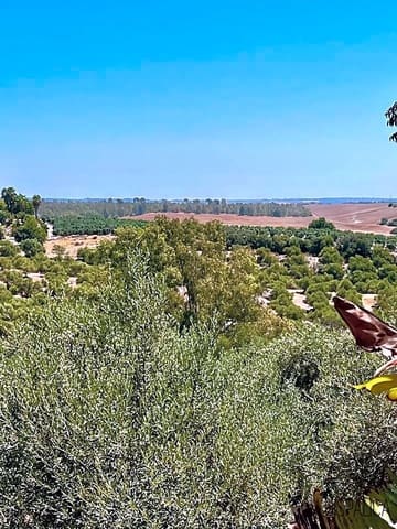 3 soveværelse Villa til salg i Cantillana med swimmingpool - € 240.000 (Ref: 7030468)