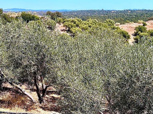 3 soveværelse Villa til salg i Cantillana med swimmingpool - € 240.000 (Ref: 7030468)