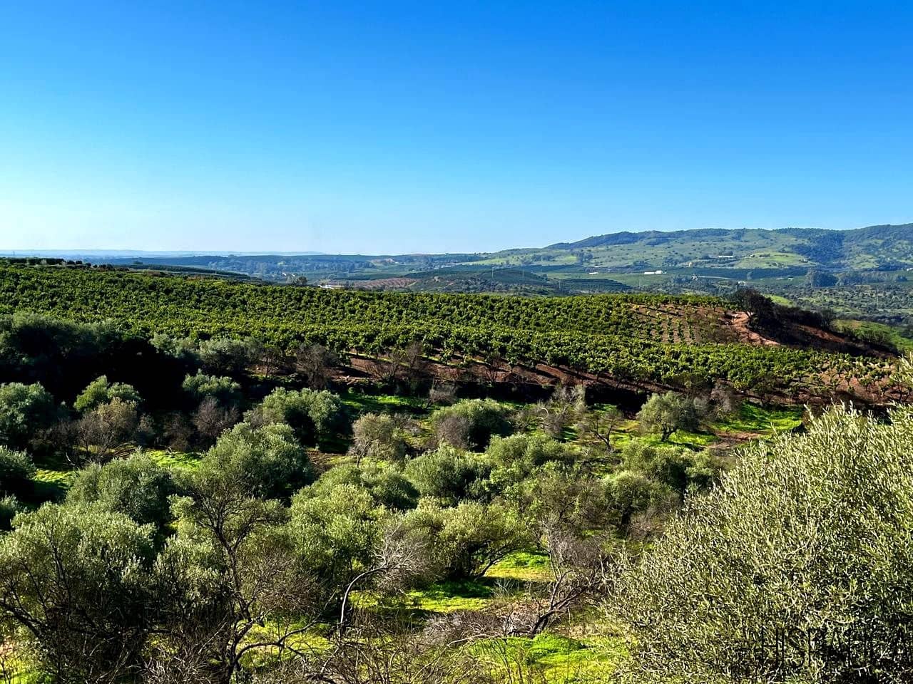 3 chambre Finca/Maison de Campagne à vendre à Cantillana avec piscine - 525 000 € (Ref: 7340451)