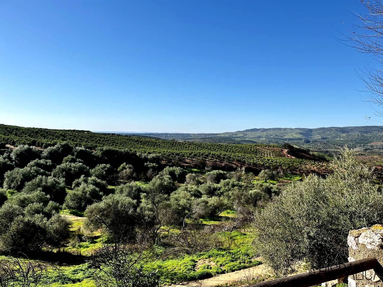 3 chambre Finca/Maison de Campagne à vendre à Cantillana avec piscine - 525 000 € (Ref: 7340451)