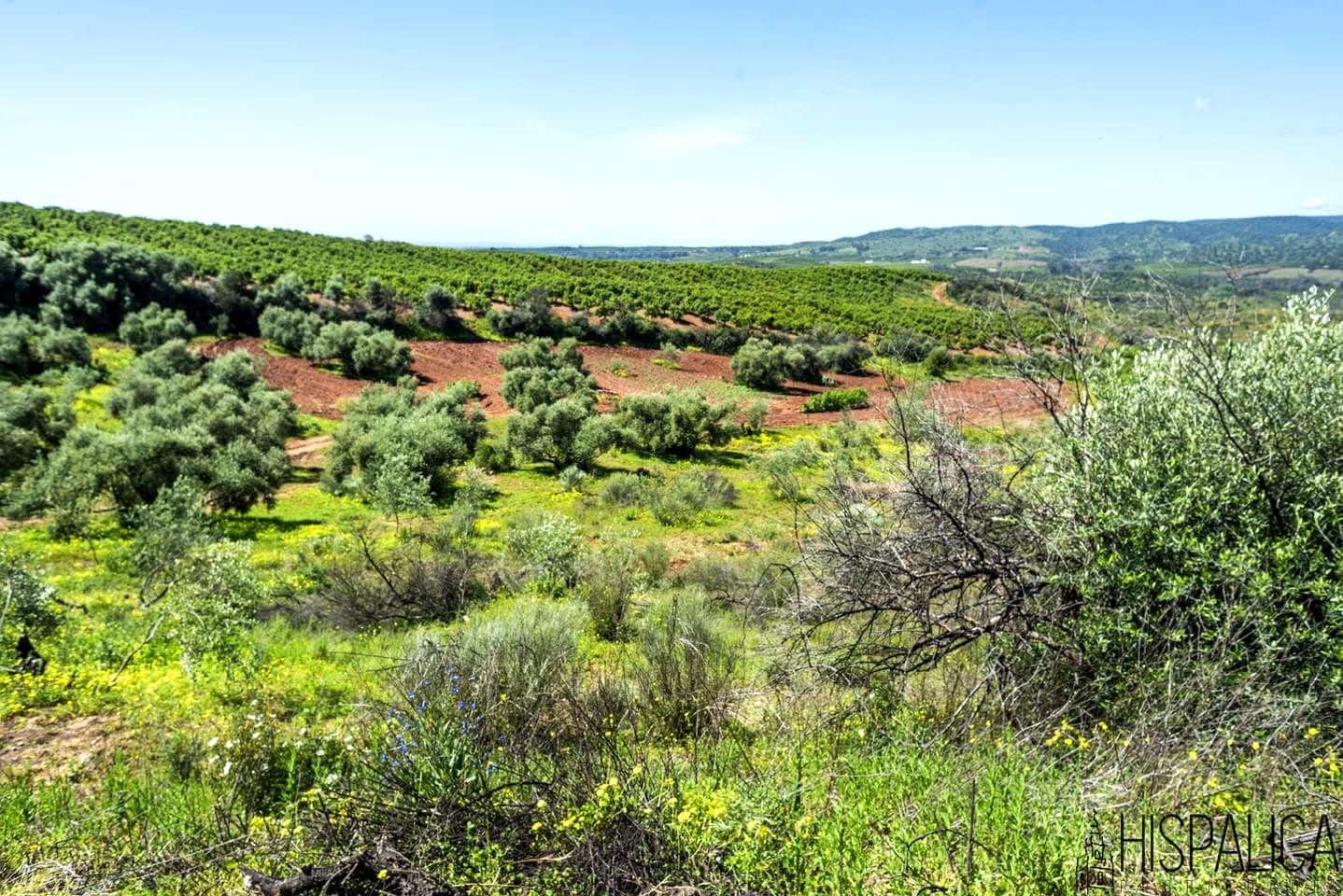 3 chambre Finca/Maison de Campagne à vendre à Cantillana avec piscine - 525 000 € (Ref: 7340451)
