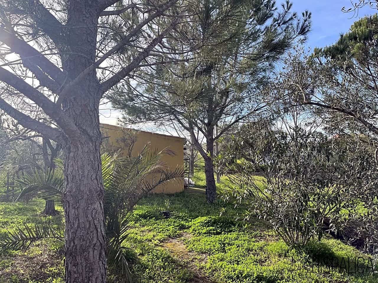 3 soveværelse Finca/Landehus til salg i La Palma del Condado - € 240.000 (Ref: 7582742)