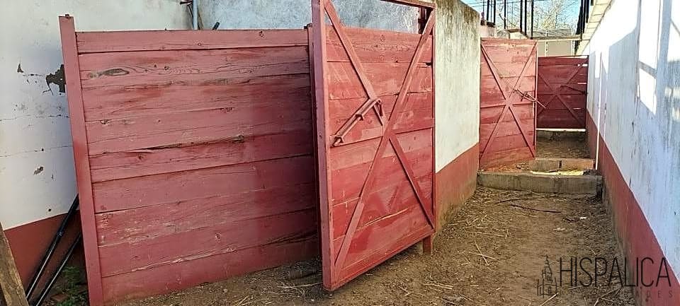 20 soverom Finca/Herregård til salgs i Carmona med svømmebasseng - € 2 500 000 (Ref: 7660997)