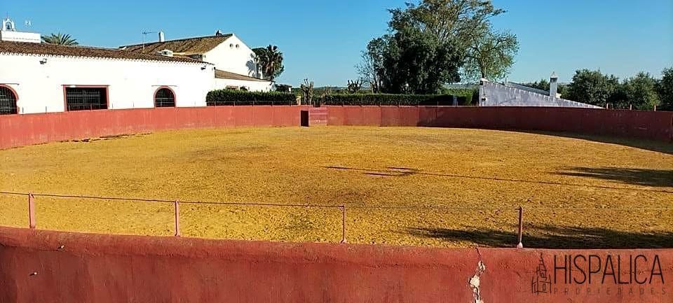 20 soverom Finca/Herregård til salgs i Carmona med svømmebasseng - € 2 500 000 (Ref: 7660997)