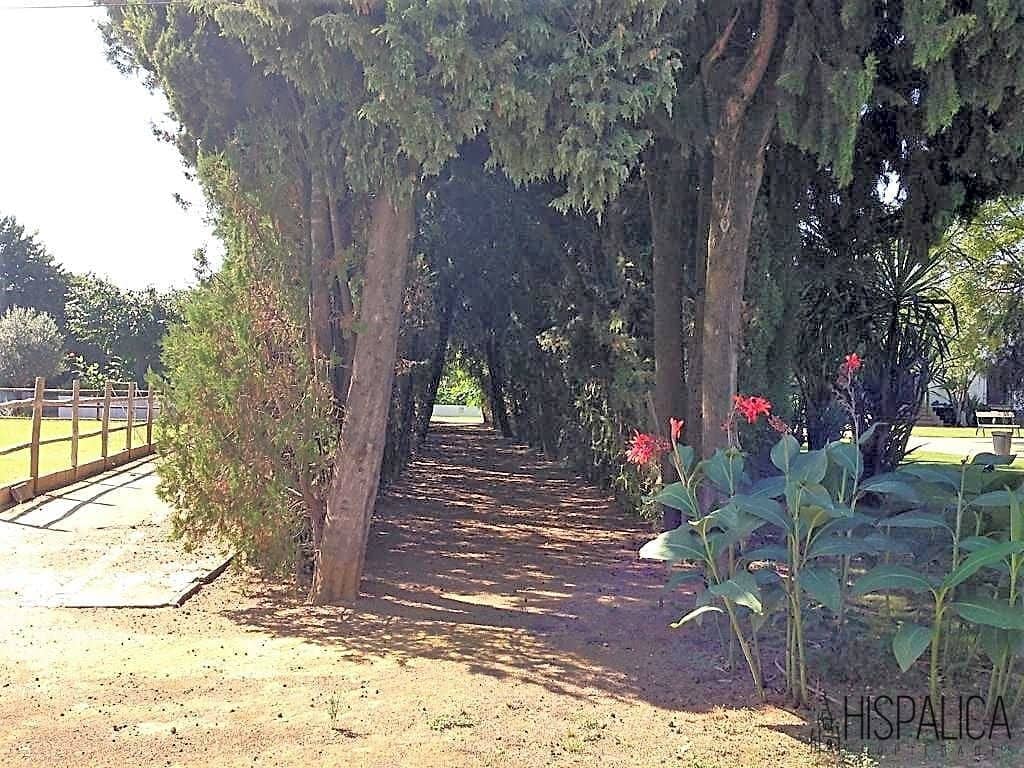 5 soveværelse Villa til salg i Villanueva del Ariscal med swimmingpool - € 1.150.000 (Ref: 7826259)