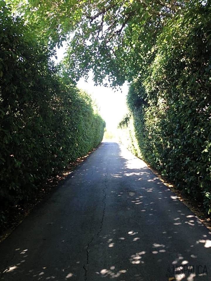 5 soveværelse Villa til salg i Villanueva del Ariscal med swimmingpool - € 1.150.000 (Ref: 7826259)