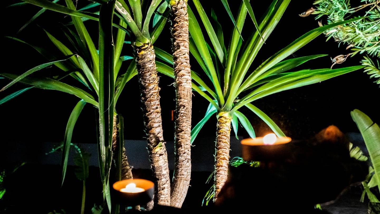 5 soveværelse Villa til salg i Utrera med swimmingpool - € 515.000 (Ref: 8780821)