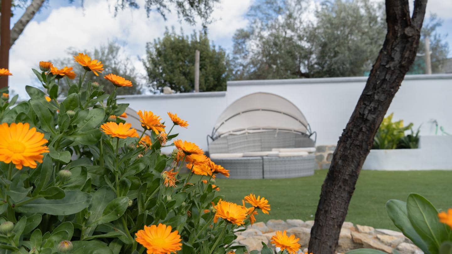 5 soveværelse Villa til salg i Utrera med swimmingpool - € 515.000 (Ref: 8780821)