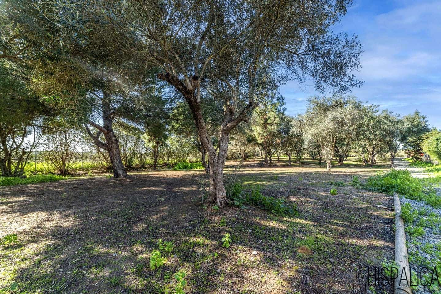 4 soveværelse Villa til salg i Bollullos de la Mitacion med swimmingpool - € 425.000 (Ref: 8780822)