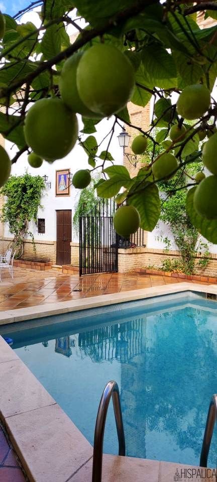 6 soveværelse Villa til salg i Ecija med swimmingpool - € 675.000 (Ref: 8830494)