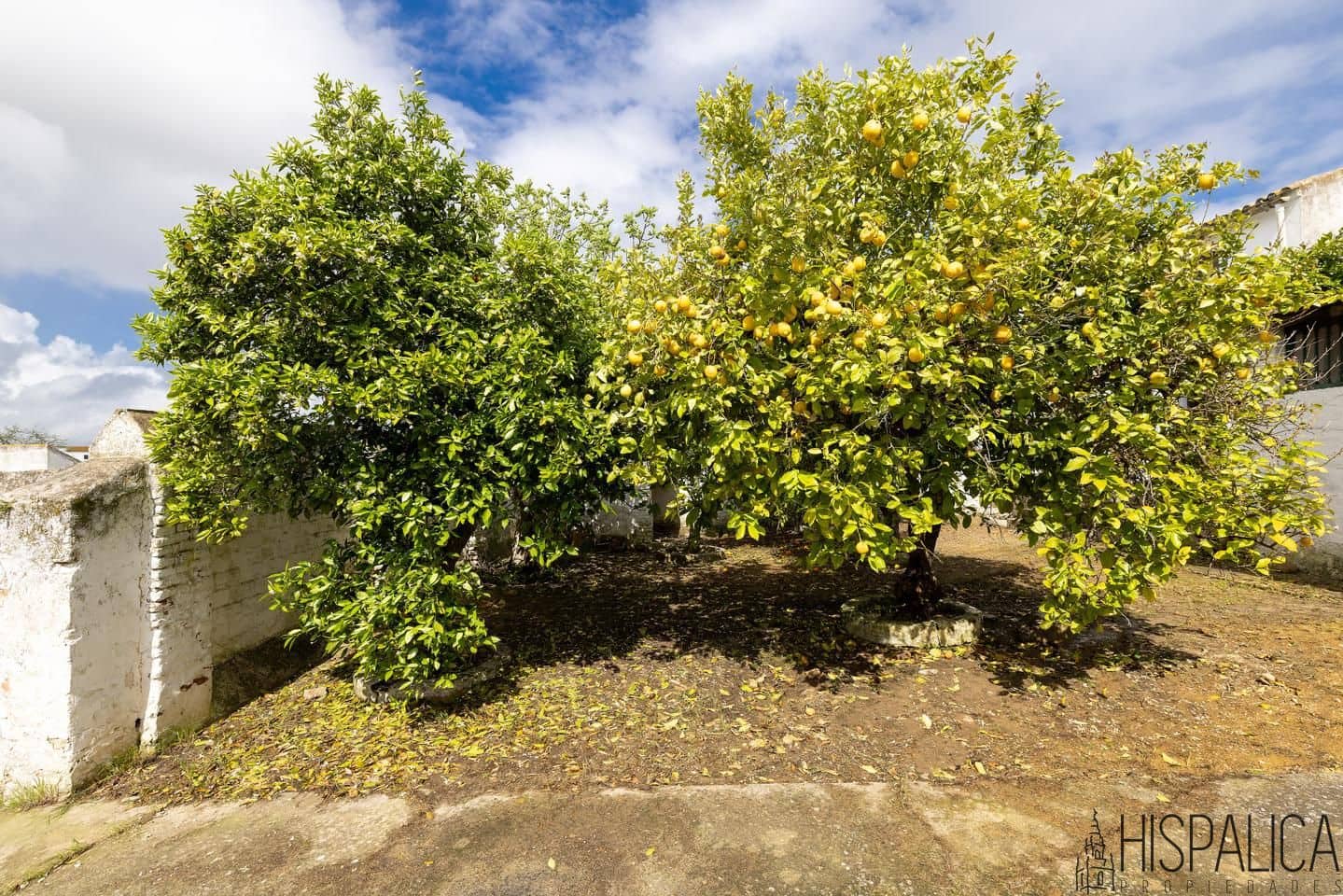 7 soveværelse Villa til salg i Carrion de los Cespedes med garage - € 311.000 (Ref: 8931561)