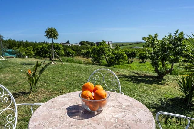 4 soveværelse Villa til salg i Cantillana - € 400.000 (Ref: 8933433)