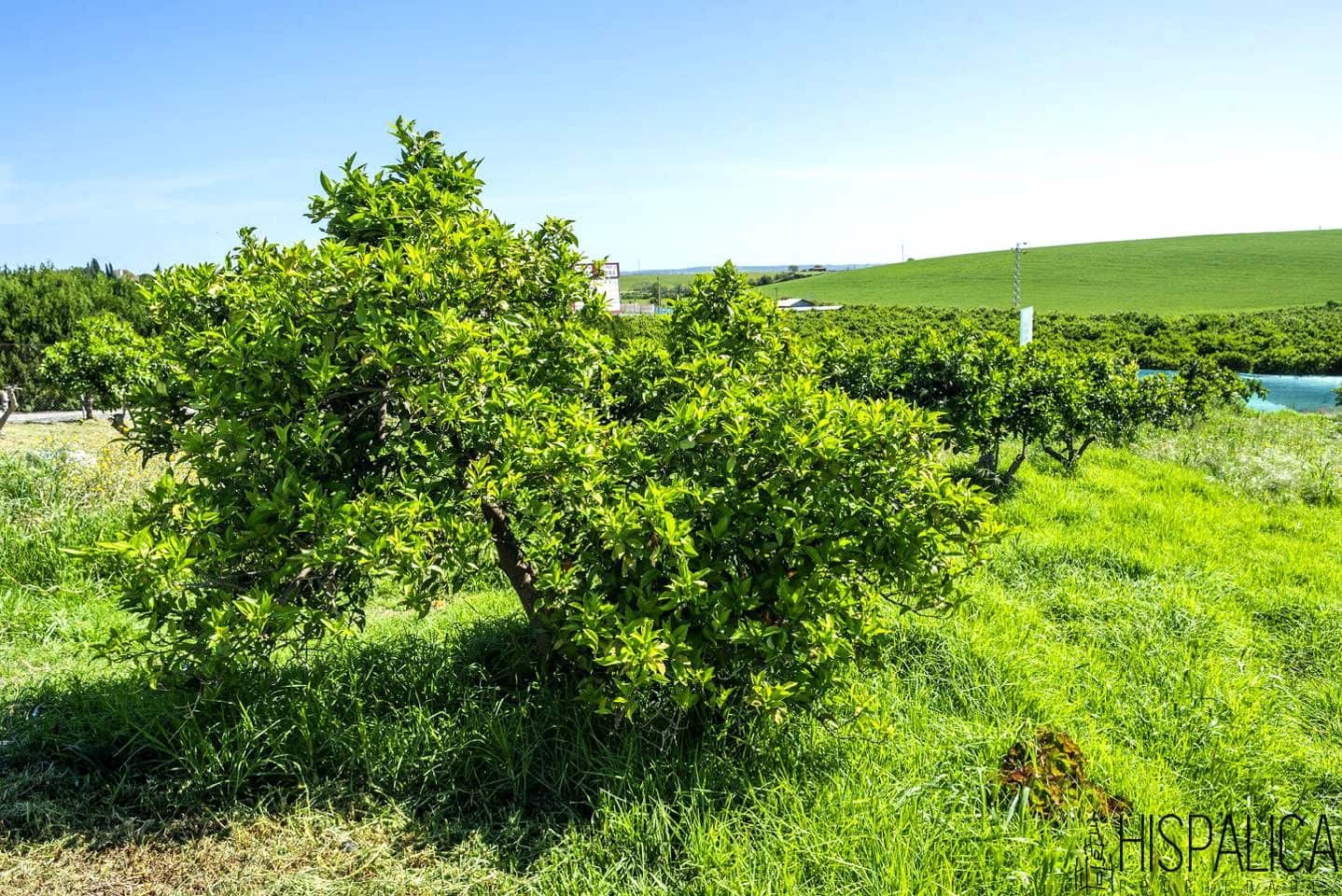 4 soveværelse Villa til salg i Cantillana - € 400.000 (Ref: 8933433)