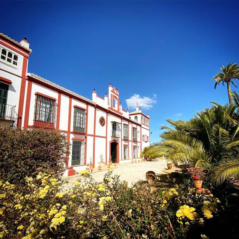 13 soveværelse Villa til salg i Moron de la Frontera med swimmingpool - € 3.400.000 (Ref: 8981728)