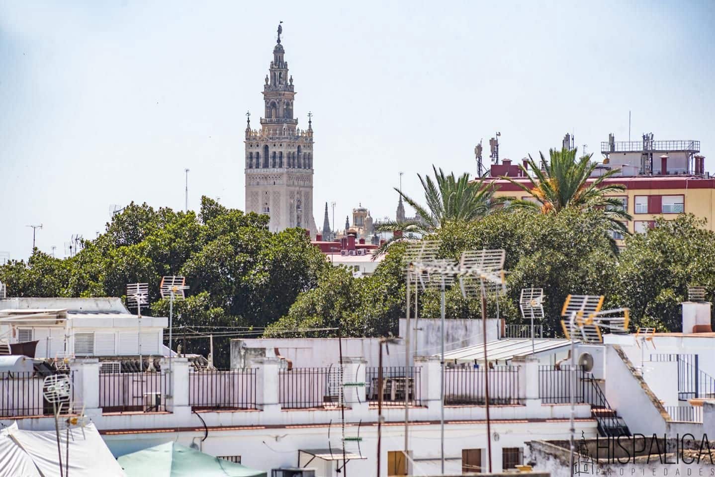 1 Zimmer Wohnung zu verkaufen in Sevilla Stadt - 390.000 € (Ref: 9099710)
