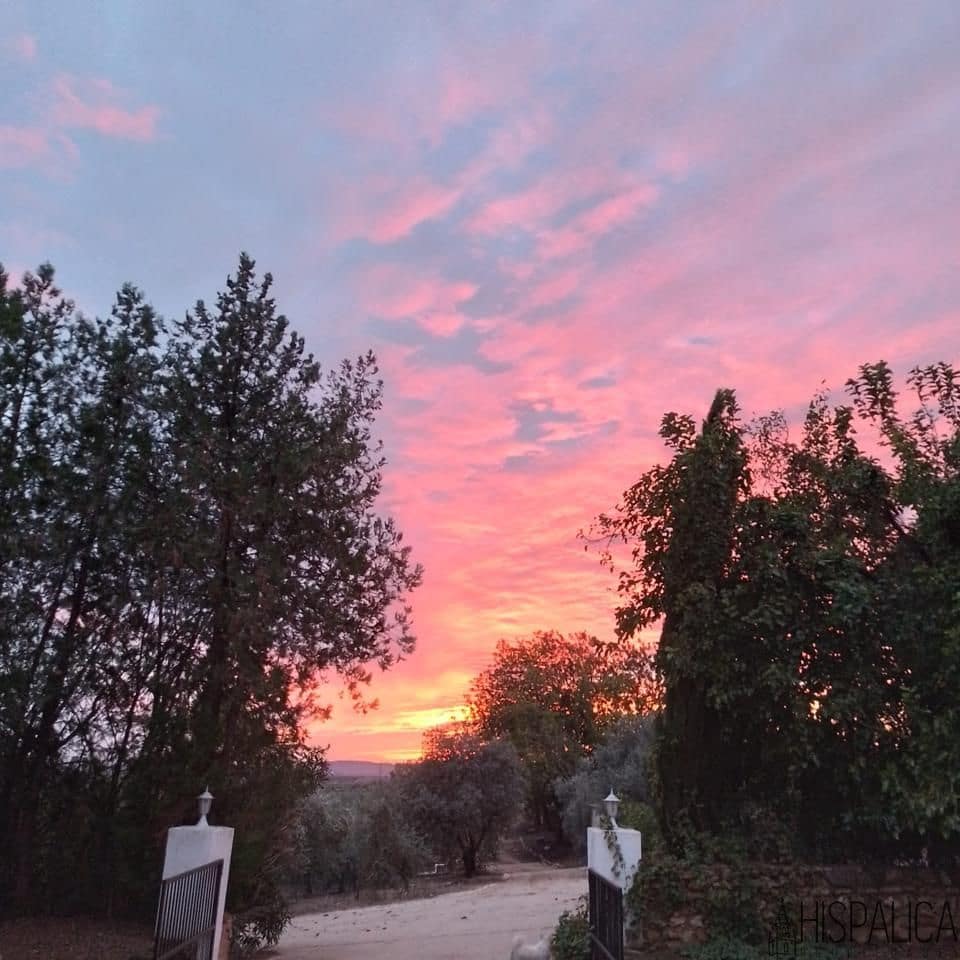 5 soveværelse Finca/Landehus til salg i Lora del Rio med swimmingpool - € 675.000 (Ref: 9135938)