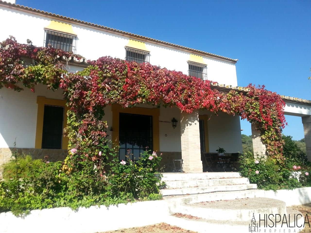 5 soveværelse Finca/Landehus til salg i Lora del Rio med swimmingpool - € 675.000 (Ref: 9135938)