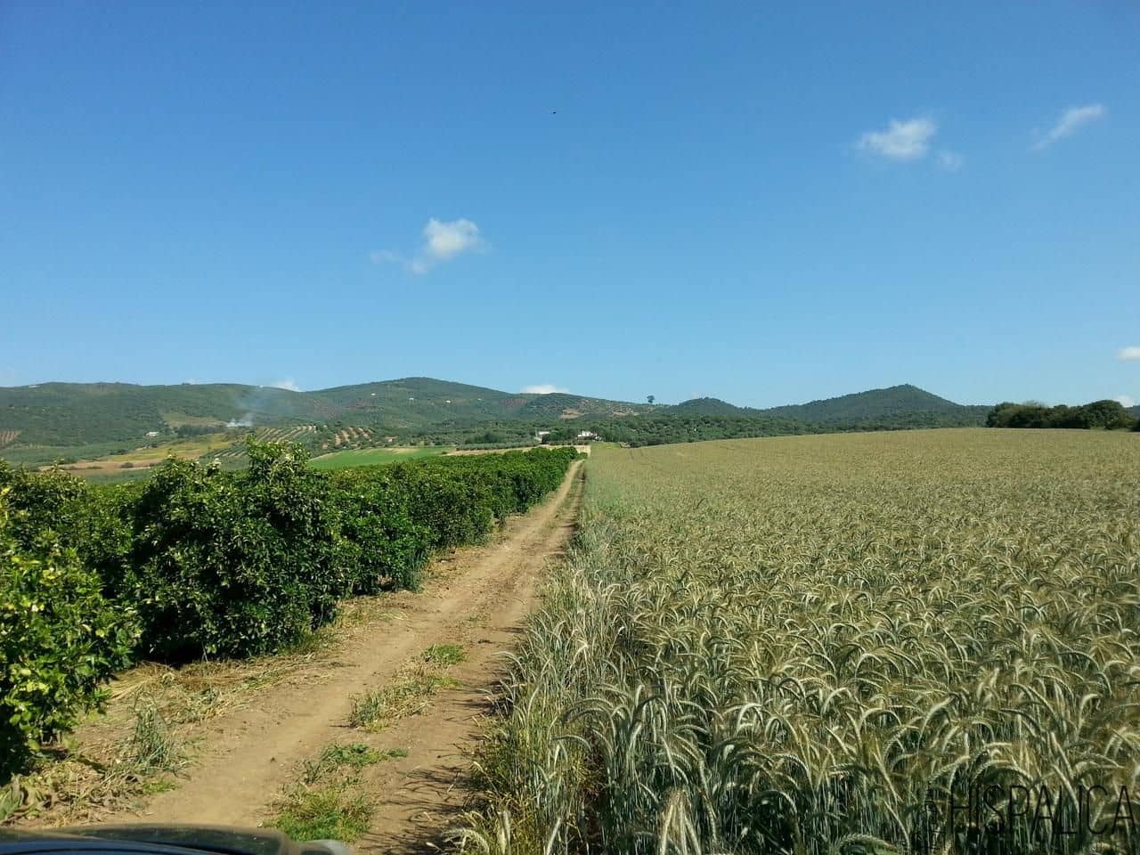 5 soveværelse Finca/Landehus til salg i Lora del Rio med swimmingpool - € 675.000 (Ref: 9135938)