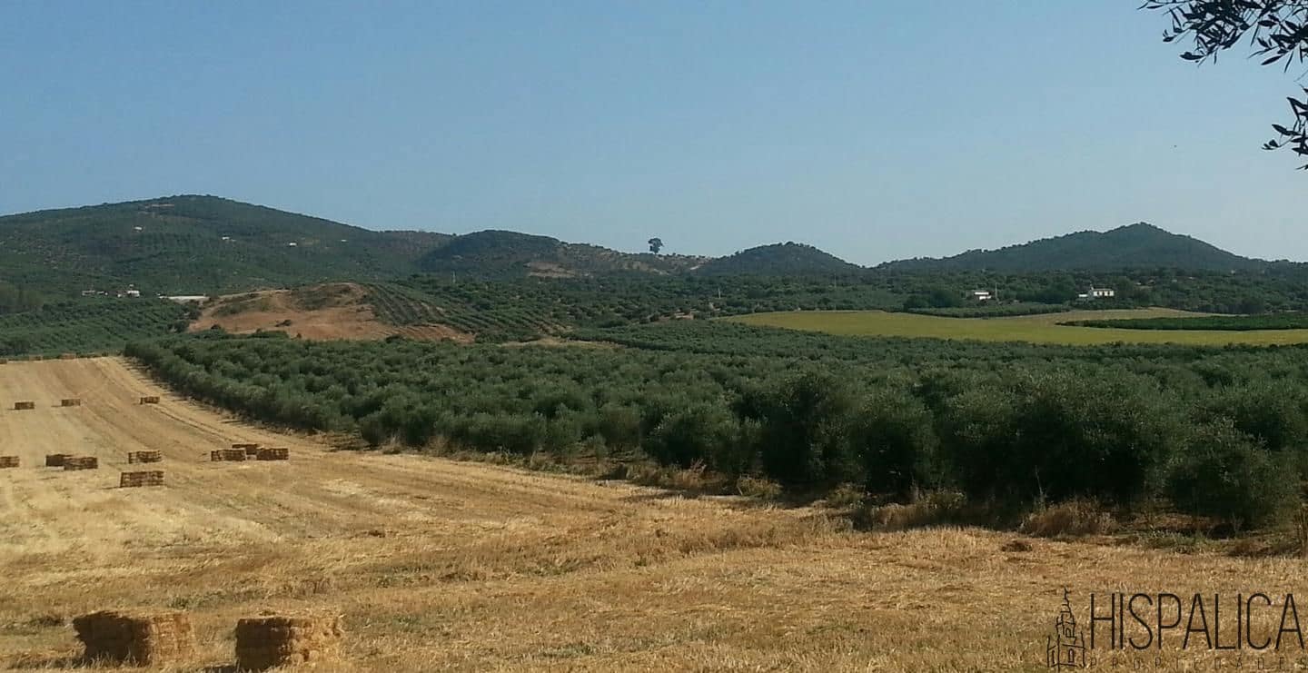 5 soveværelse Finca/Landehus til salg i Lora del Rio med swimmingpool - € 675.000 (Ref: 9135938)