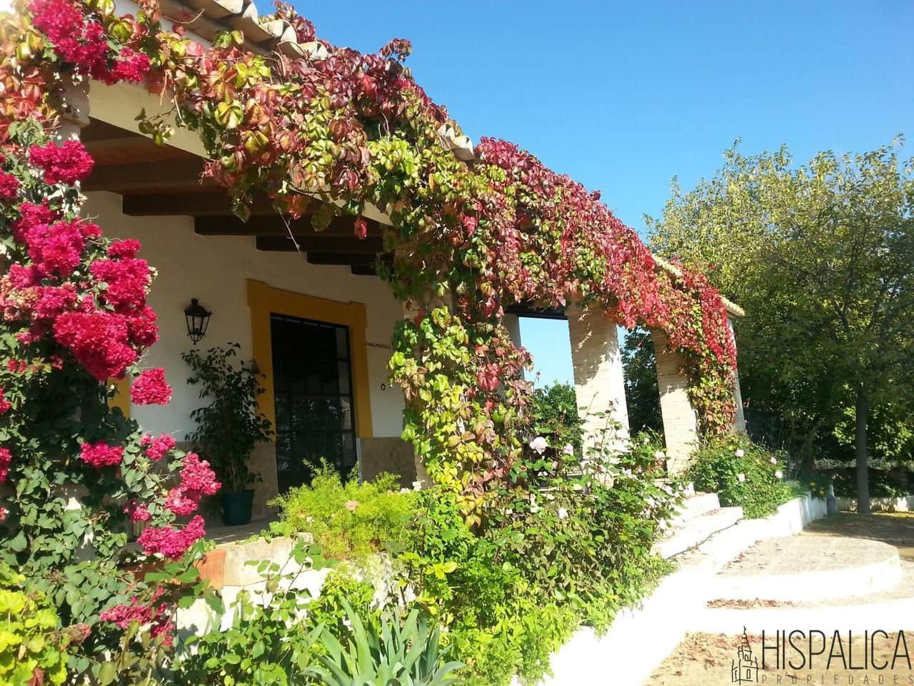 5 soveværelse Finca/Landehus til salg i Lora del Rio med swimmingpool - € 675.000 (Ref: 9135938)