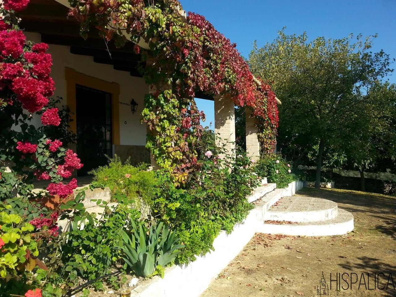 5 soveværelse Finca/Landehus til salg i Lora del Rio med swimmingpool - € 675.000 (Ref: 9135938)