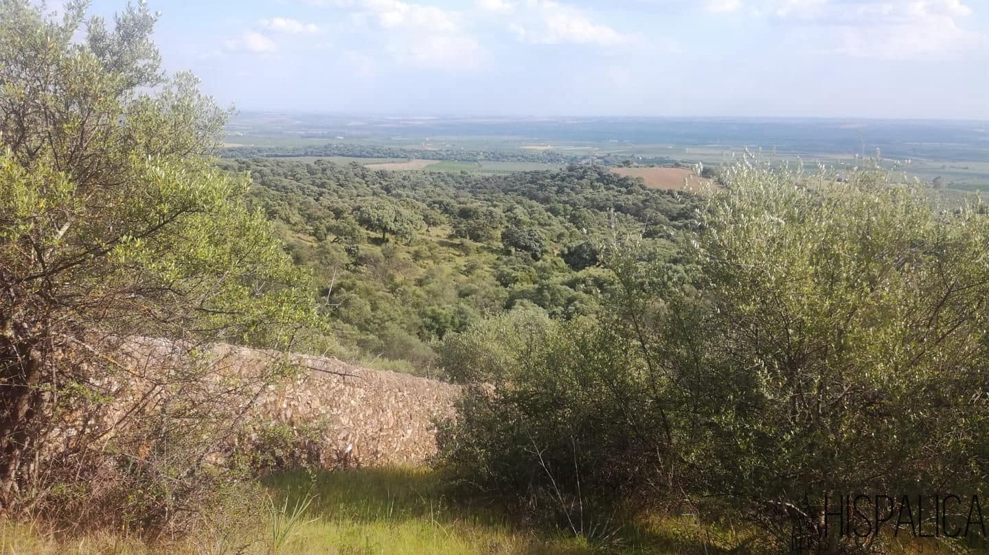 5 soveværelse Finca/Landehus til salg i Lora del Rio med swimmingpool - € 675.000 (Ref: 9135938)