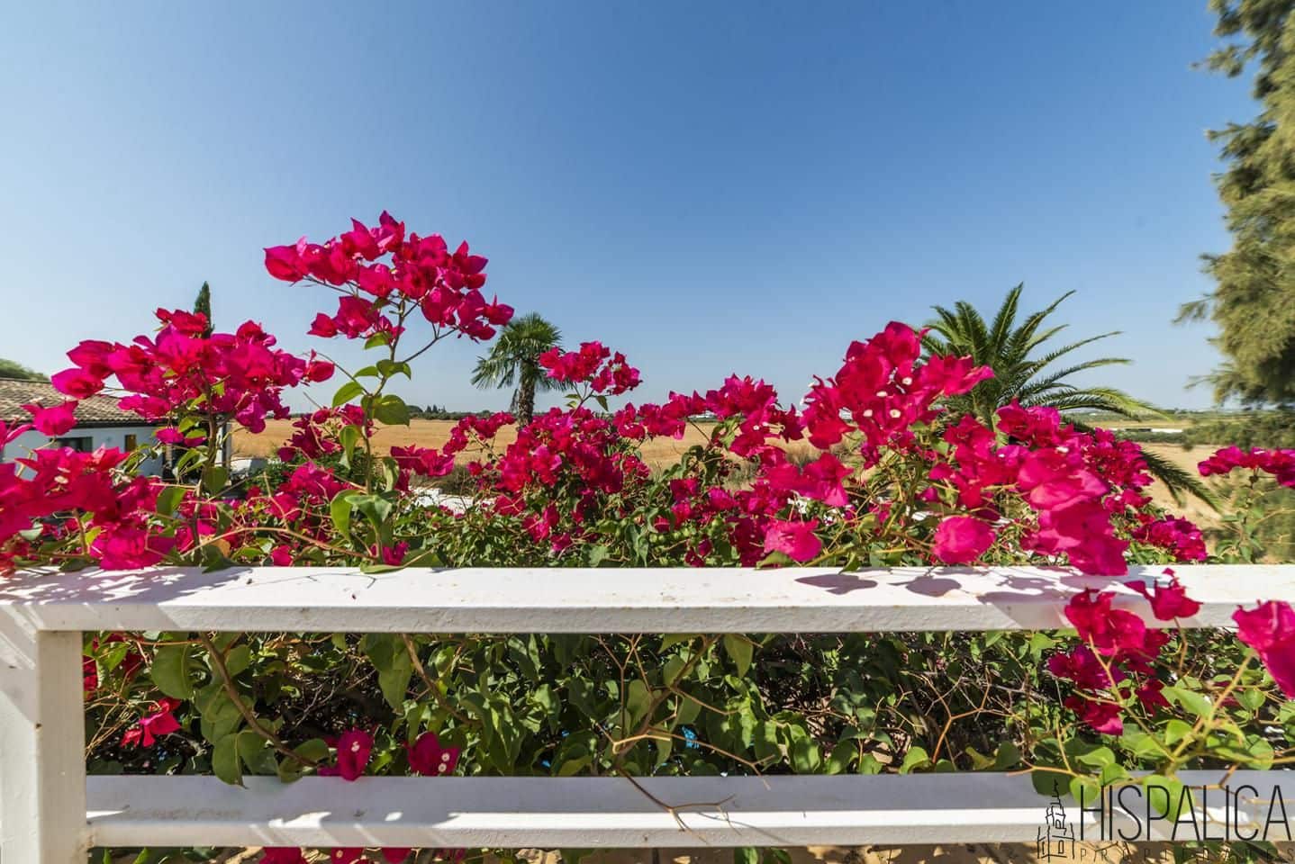 7 soveværelse Villa til salg i Valencina de la Concepcion med swimmingpool garage - € 1.300.000 (Ref: 9144345)