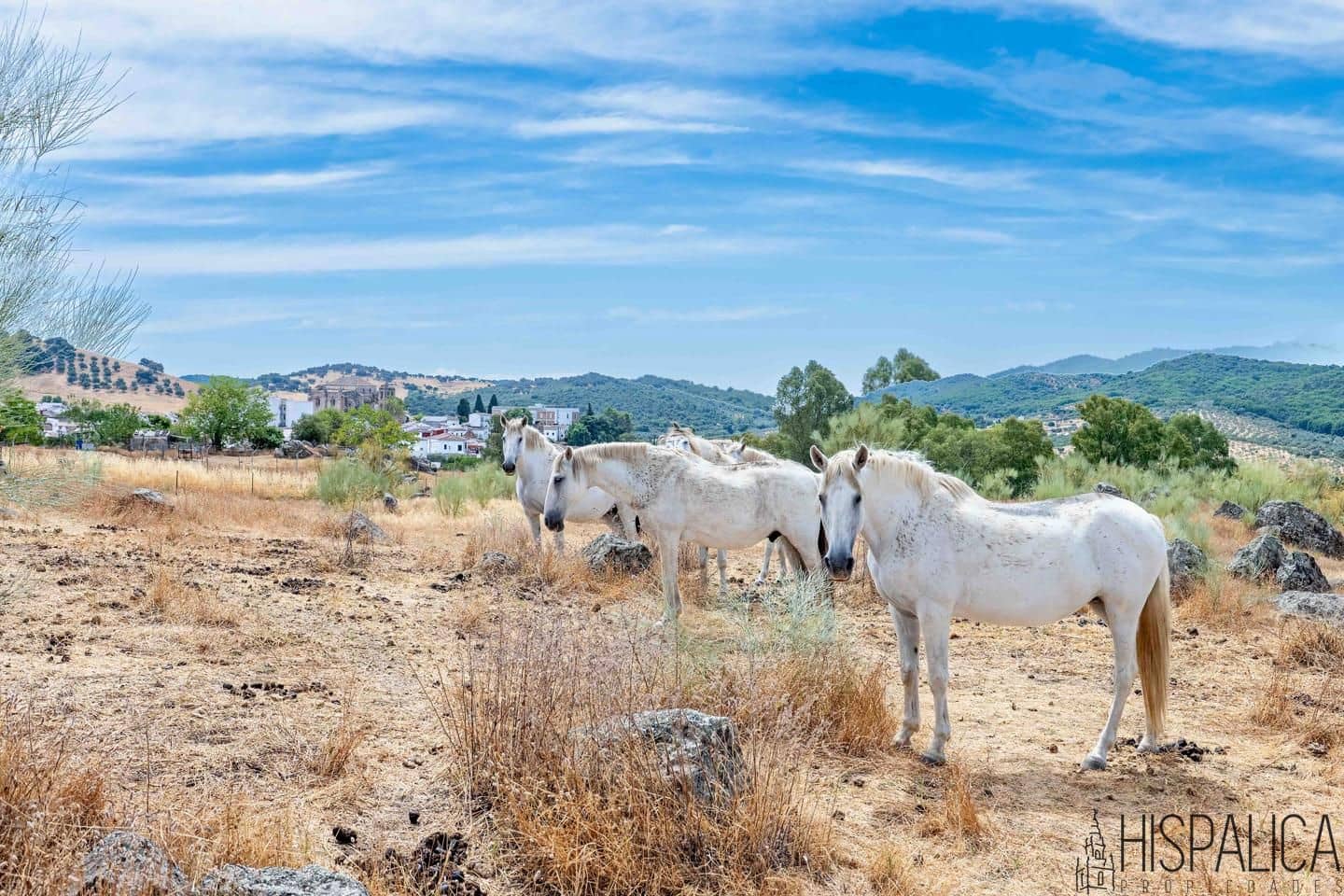 2 soveværelse Finca/Landehus til salg i Cazalla de la Sierra med swimmingpool - € 350.000 (Ref: 9168865)
