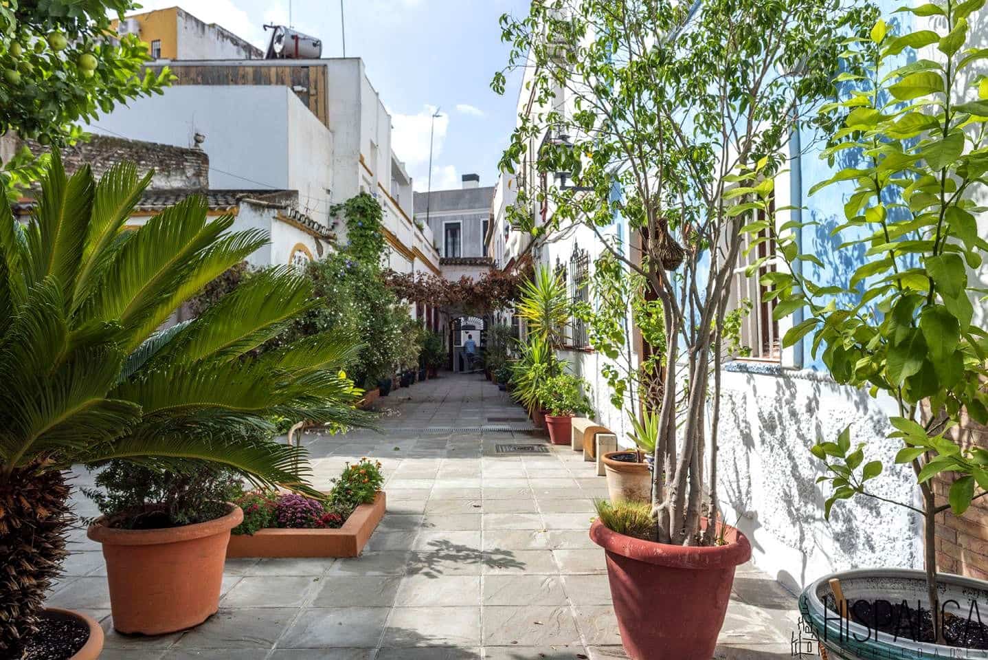 3 slaapkamer Flat te koop in Sevilla stad - € 570.000 (Ref: 9360689)