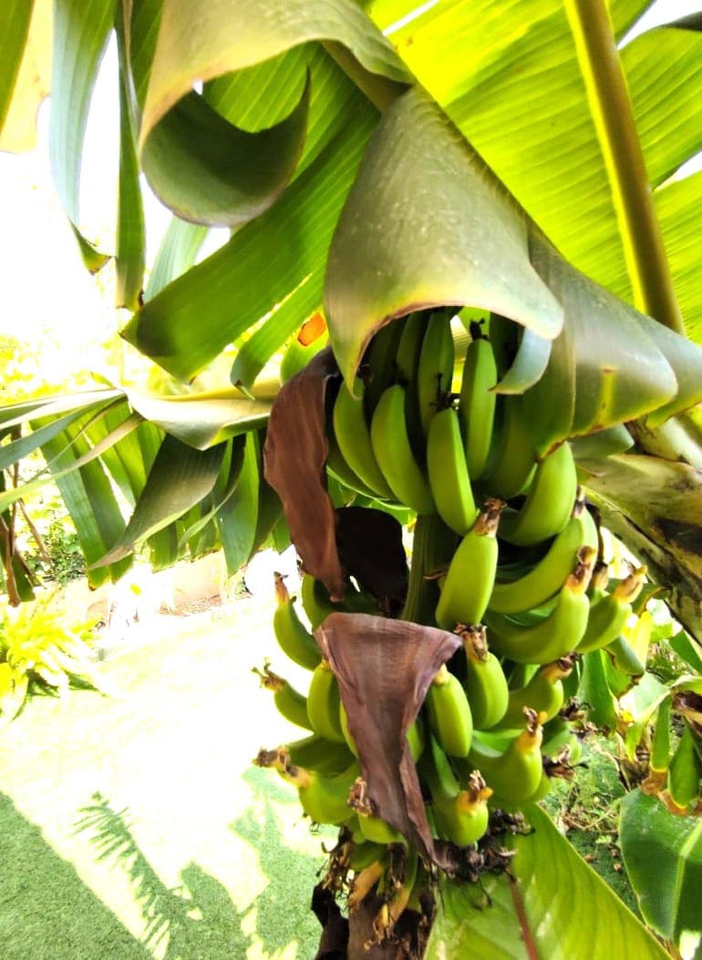 3 slaapkamer Bungalow te koop in Finestrat met zwembad garage - € 345.000 (Ref: 9296291)