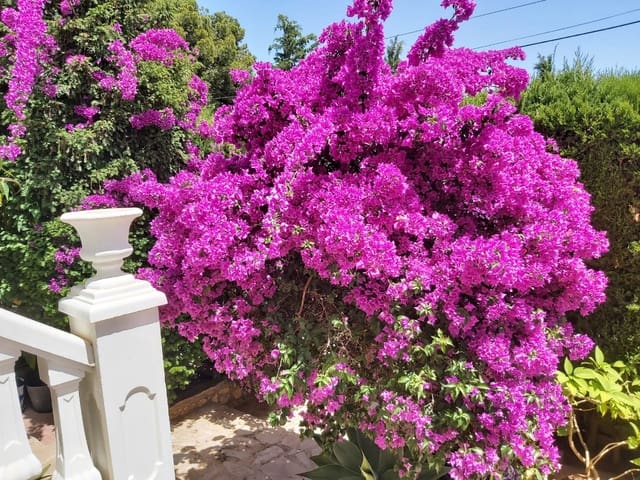 5 quarto Moradia para arrendar em Barranco Hondo, La Nucia com piscina garagem - 2 950 € (Ref: 9319909)