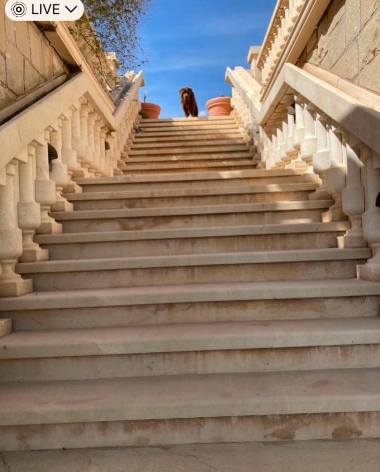 Finca/Casa Rural en Novelda en venta con piscina garaje - 1.260.000 € (Ref: 9491686)