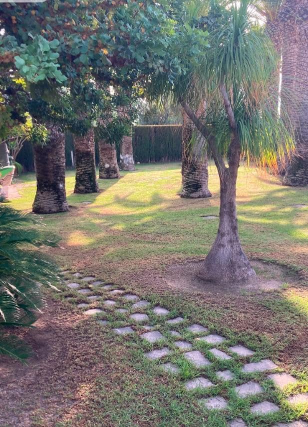 Finca/Casa Rural en Novelda en venta con piscina garaje - 1.260.000 € (Ref: 9491686)