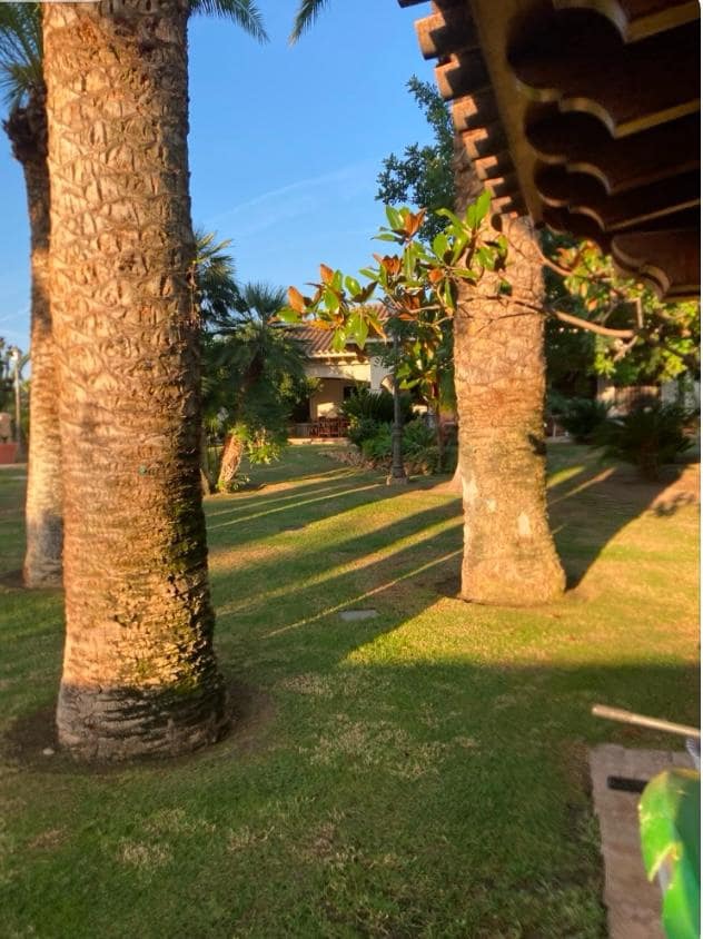 Finca/Casa Rural en Novelda en venta con piscina garaje - 1.260.000 € (Ref: 9491686)