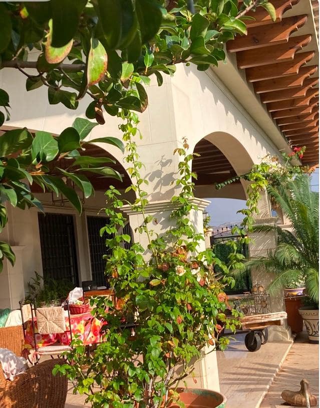 Finca/Casa Rural en Novelda en venta con piscina garaje - 1.260.000 € (Ref: 9491686)