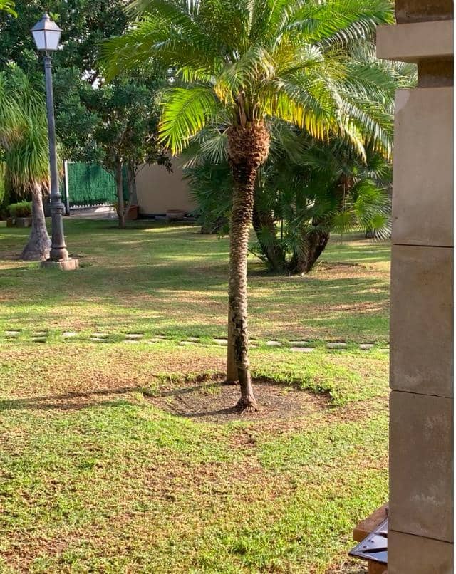 Finca/Casa Rural en Novelda en venta con piscina garaje - 1.260.000 € (Ref: 9491686)