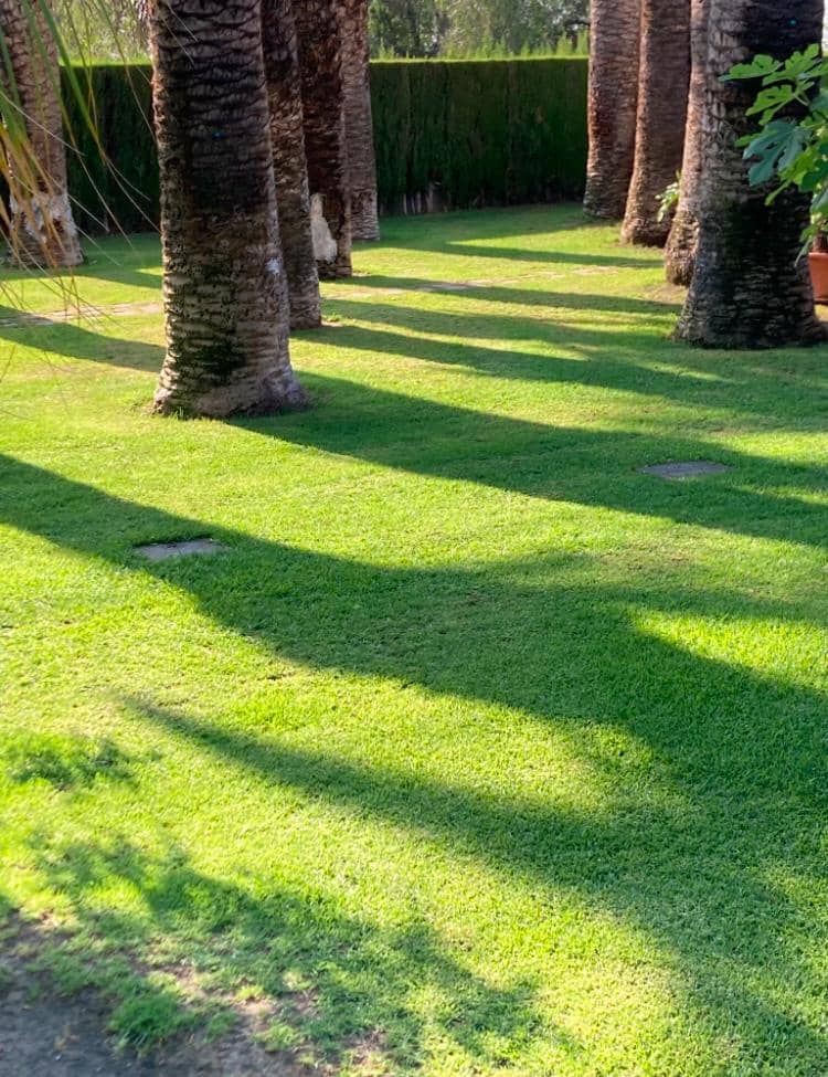 Finca/Casa Rural en Novelda en venta con piscina garaje - 1.260.000 € (Ref: 9491686)