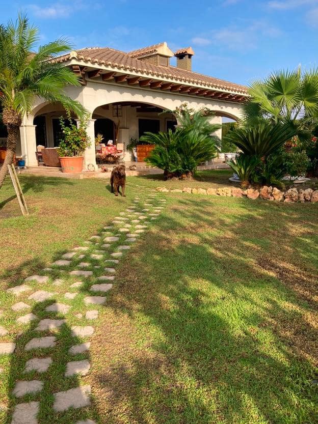 Finca/Casa Rural en Novelda en venta con piscina garaje - 1.260.000 € (Ref: 9491686)
