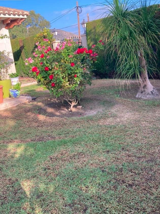 Finca/Casa Rural en Novelda en venta con piscina garaje - 1.260.000 € (Ref: 9491686)